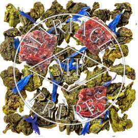 CACTUS BLEU - image 2