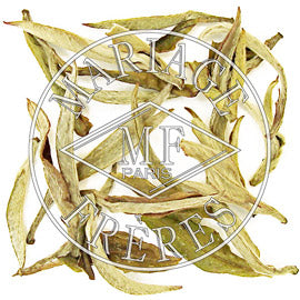 IVORY HIMALAYA™ - image 2