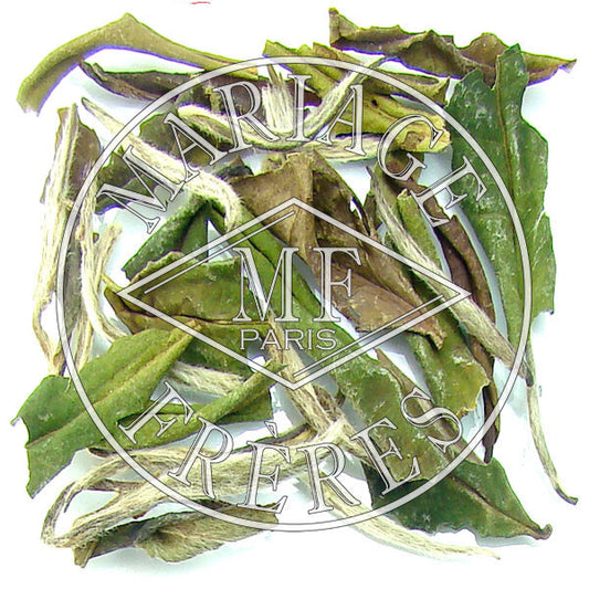 PAI MU TAN IMPÉRIAL - image 1