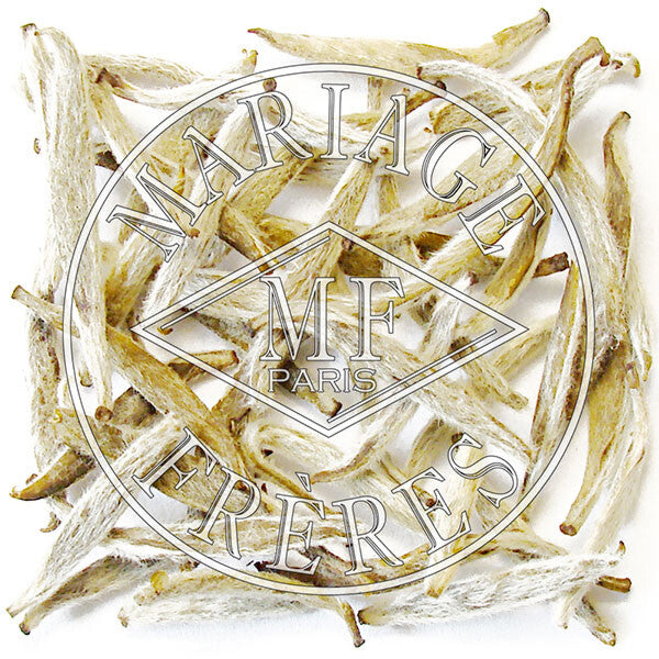 THÉ DES MANDARINS JASMIN - image 1