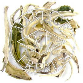 BRUME DE JASMIN - image 2