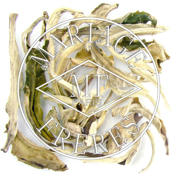 BRUME DE JASMIN - image 1
