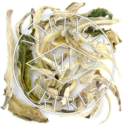 BRUME DE JASMIN - image 1