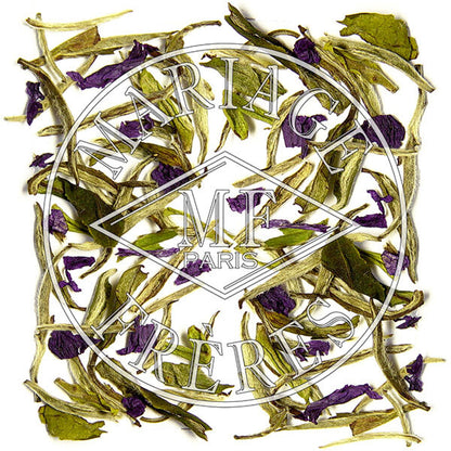 THÉ BLANC MARCO POLO - image 1