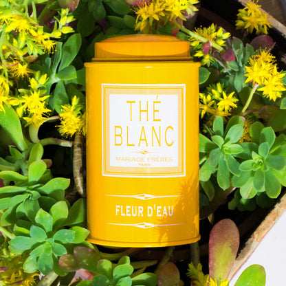 FLEUR D'EAU - image 3