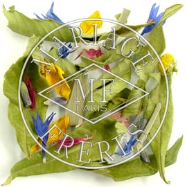 DREAM TEA - image 2