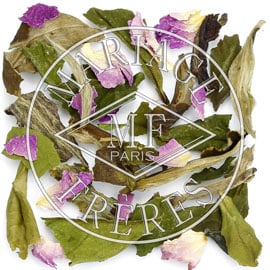 BLANC & ROSE - image 2