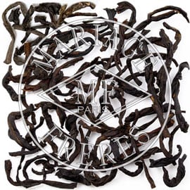 BLACK LÉOPARD - image 2